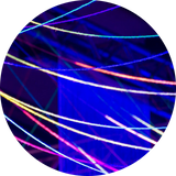 Blacklight TD